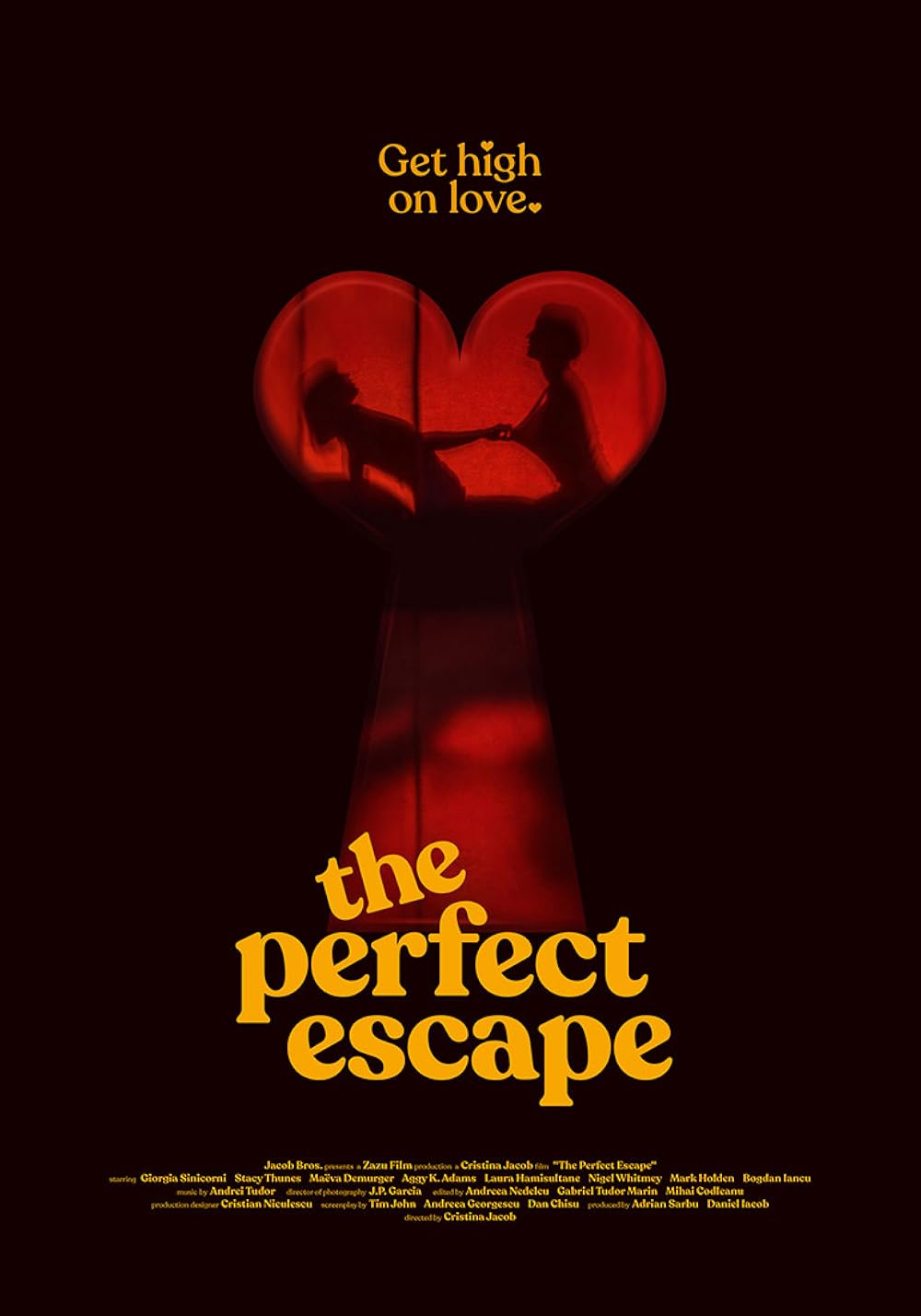 ดูหนังออนไลน์ฟรี The Perfect Escape (2023)