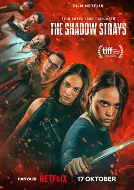ดูหนังออนไลน์ฟรี The Shadow Strays (2024) นักฆ่าเงาล่าทรชน