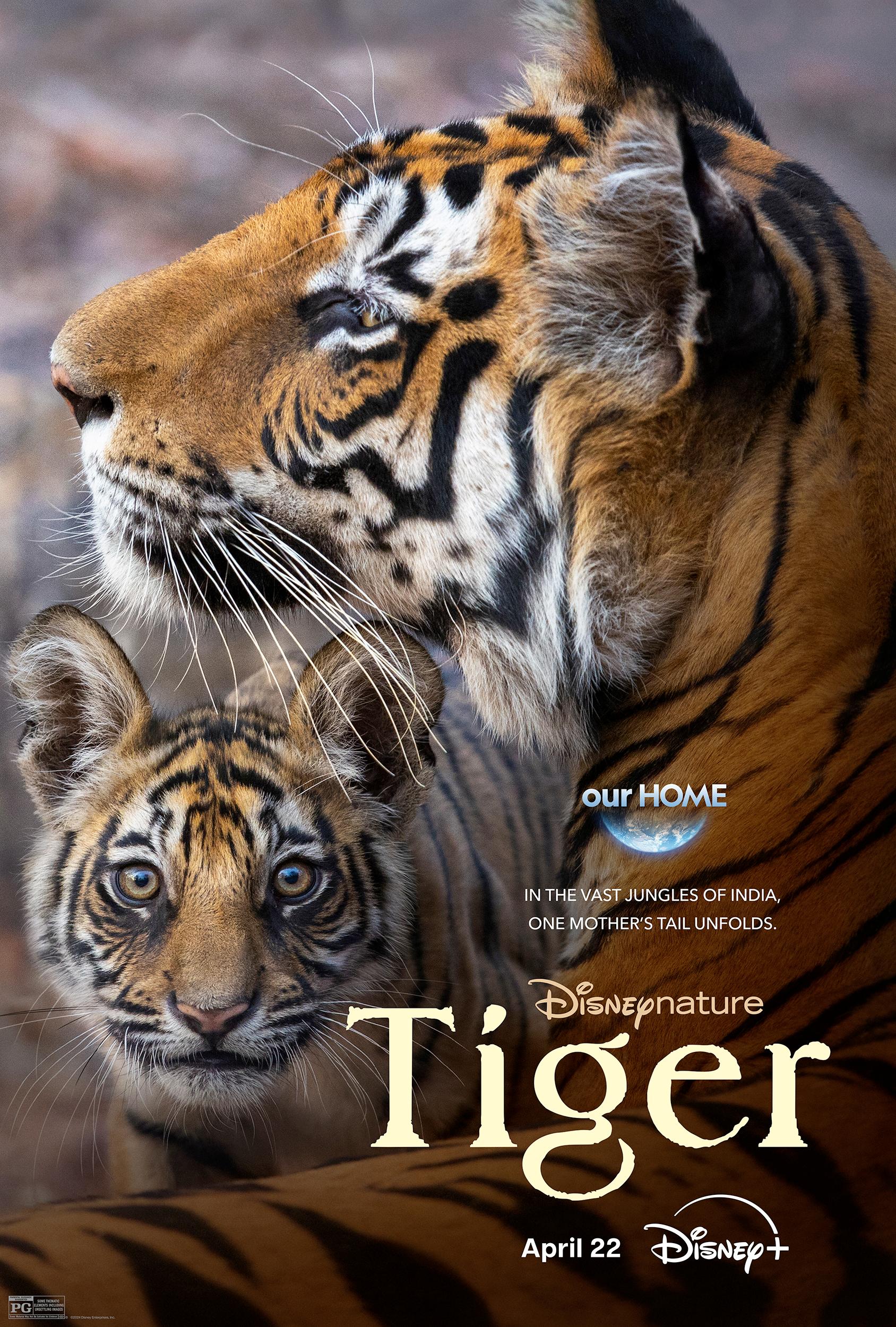ดูหนังออนไลน์ฟรี Tigers on the Rise (2024)