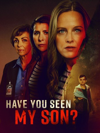 ดูหนังออนไลน์ฟรี Have You Seen My Son? (2024) แฮฟ ยู ซีน มาย ซัน?