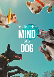 ดูหนังออนไลน์ฟรี Inside the Mind of a Dog (2024) อ่านใจสุนัข