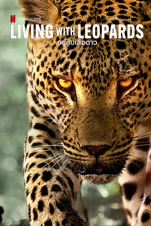 ดูหนังออนไลน์ฟรี Living with Leopards (2024) อยู่กับเสือดาว