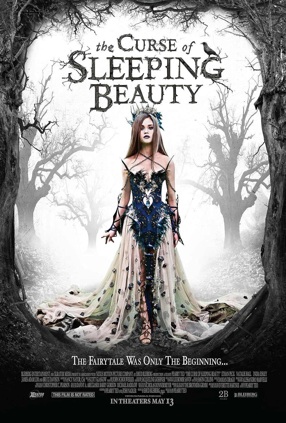 ดูหนังออนไลน์ฟรี The Curse of Sleeping Beauty (2016) คำสาปเจ้าหญิงนิทรา