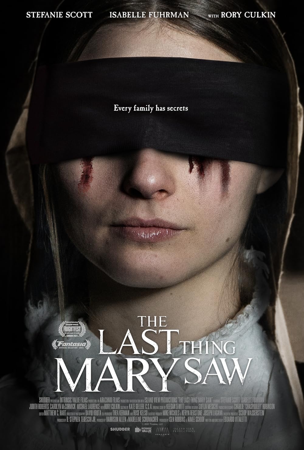 ดูหนังออนไลน์ฟรี The Last Thing Mary Saw (2021) บาปสุดท้ายของแมรี่