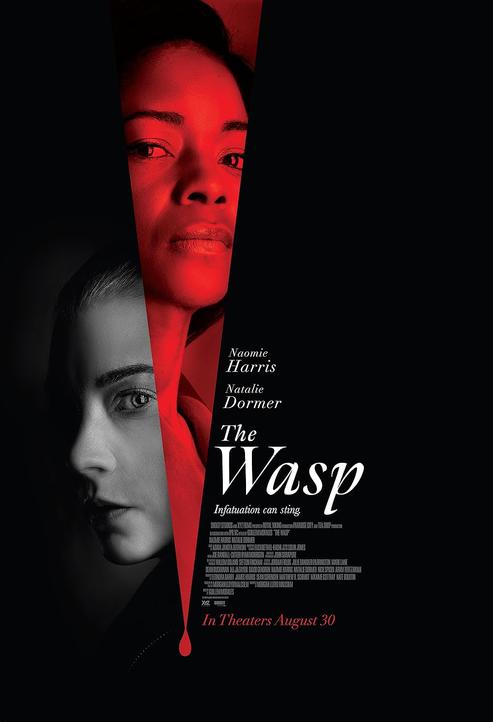 ดูหนังออนไลน์ฟรี The Wasp (2024) เดอะวอสป์